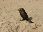 Fotoblog dawid12345