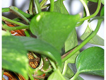 Fotoblog paulinkkaaa13