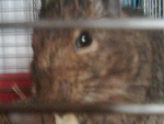 Fotoblog motyleczek19