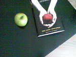 Fotoblog xksoksomx