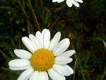 Fotoblog ares80