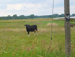 Fotoblog theonestrange