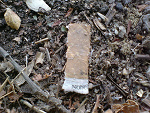 Fotoblog zibix