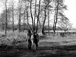 Fotoblog negativeemotions