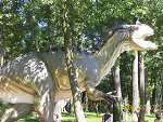Fotoblog kacpik3
