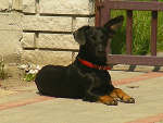 Fotoblog natusia20