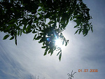 Fotoblog werrap