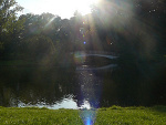 Fotoblog arbuzowaona