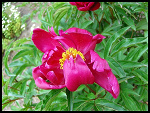 Fotoblog 19xevelinnx93