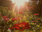 Fotoblog asiek06