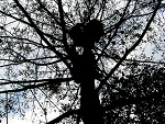 Fotoblog 945gdvi