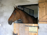 Fotoblog warta12