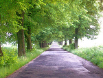 Fotoblog wariatka1493