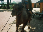 Fotoblog aduska10