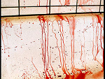 Fotoblog angryme