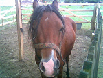 Fotoblog jojo55551