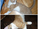 Fotoblog fucklessons
