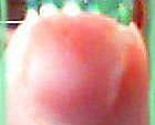 Fotoblog miqotka
