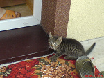 Fotoblog kinaj