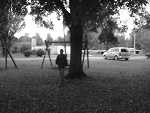 Fotoblog alexz121