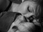 Fotoblog malw