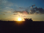 Fotoblog monia0809