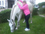 Fotoblog asica92horse
