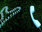 Fotoblog red0rainbow