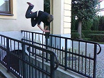 Fotoblog trey150