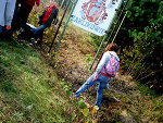 Fotoblog dominikoo