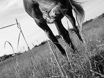 Fotoblog blaaacklady