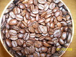 Fotoblog busia1