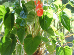 Fotoblog madziarka0991