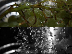 Fotoblog xerdbeerex