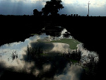 Fotoblog alicjalive