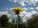 Fotoblog qqww4