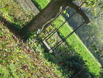 Fotoblog natalliia