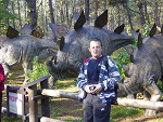 Fotoblog quadomaniak