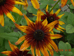 Fotoblog unnaturalxinside