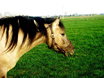 Fotoblog mrowka14