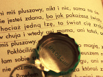 Fotoblog poodel