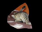 Fotoblog ochydaaa