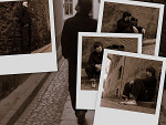 Fotoblog ithylien