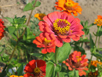 Fotoblog madasnina