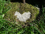 Fotoblog julietta92