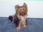 Fotoblog max7x7