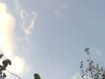 Fotoblog emowatedziecko