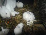 Fotoblog karczunxp