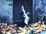Fotoblog wizjemam