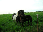 Fotoblog izaa1